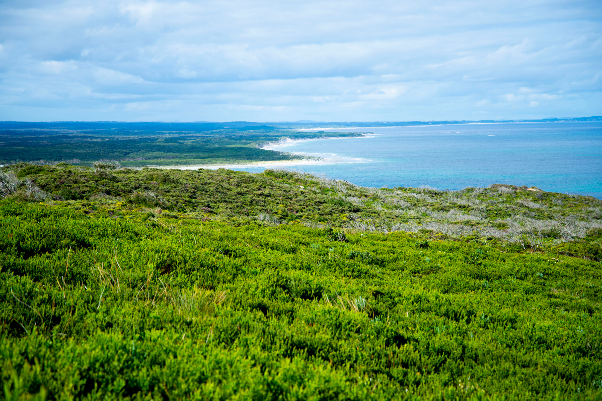 84 d'entrecasteaux islands.webp